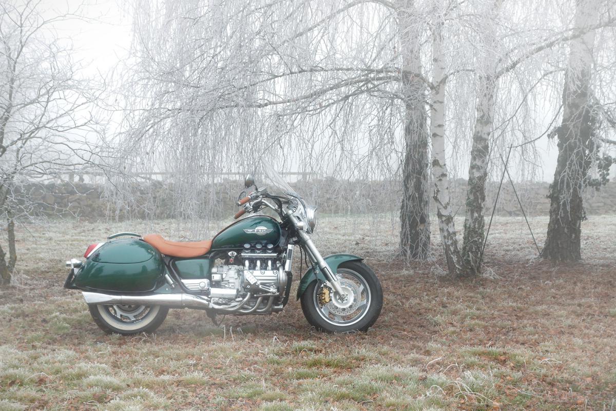 Custom Valkyrie moto : The Lady Breizh profil