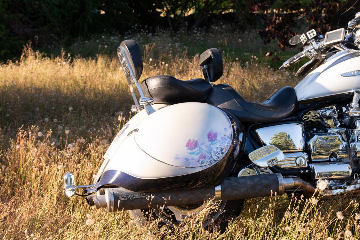 Custom Valkyrie moto : The Mechanical Legend profil