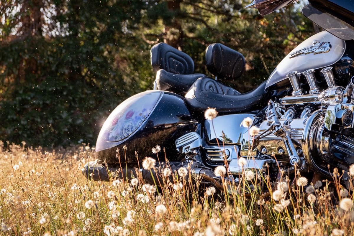 Custom Valkyrie moto : The Mechanical Legend valises latérales