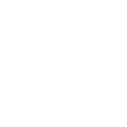 Custom Valkyrie moto : Logo The Six Shooter